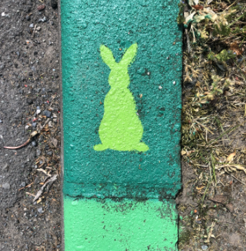 marion-lamarque-le-regain-lapin