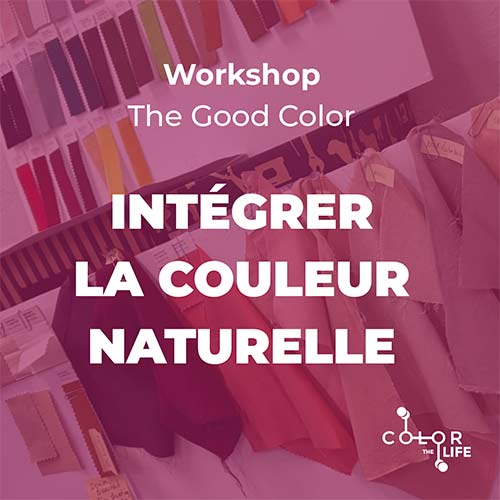 Workshop “Intégrer la couleur naturelle”
