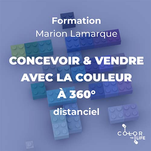 Formation Distanciel : Concevoir et Vendre avec la couleur à 360°